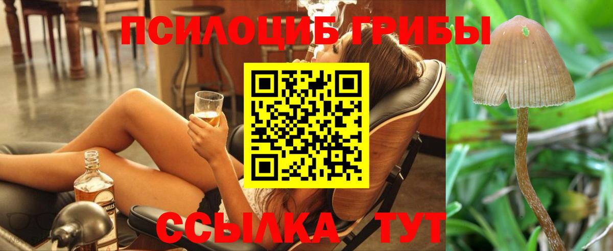 Галлюциногенные грибы Magic Shrooms  Вход с VPN  дарнет шоп  Саров 